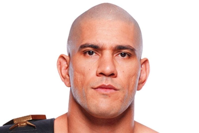 actu ufc