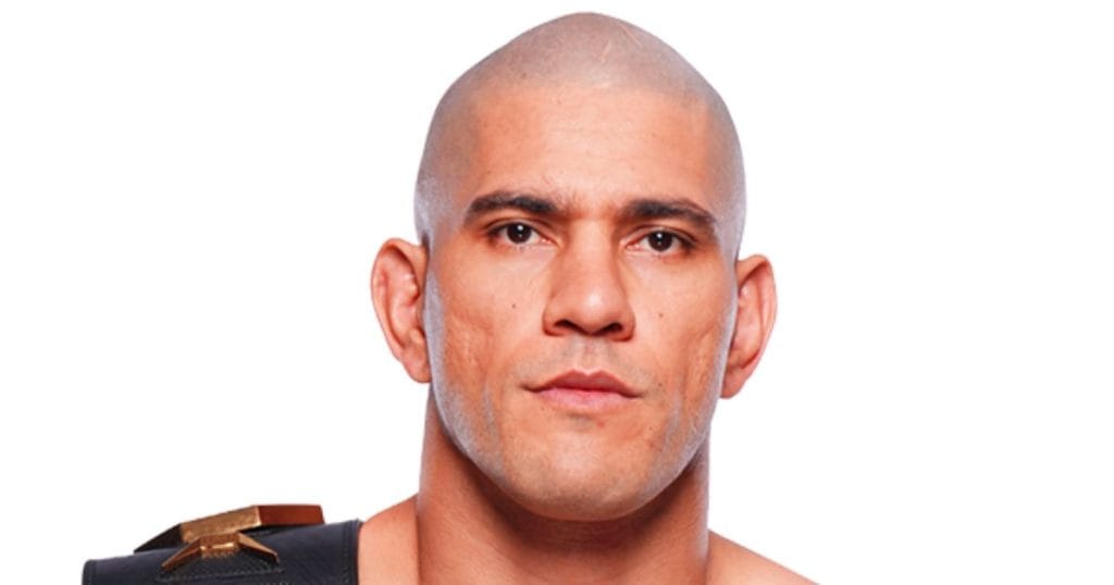 actu ufc